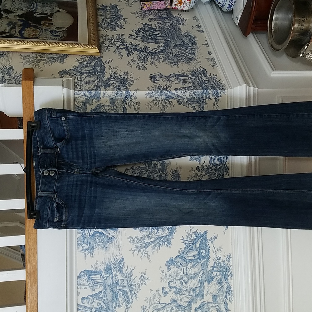 American Eagle Artist jeans- stretch- low rise, size 00 Long